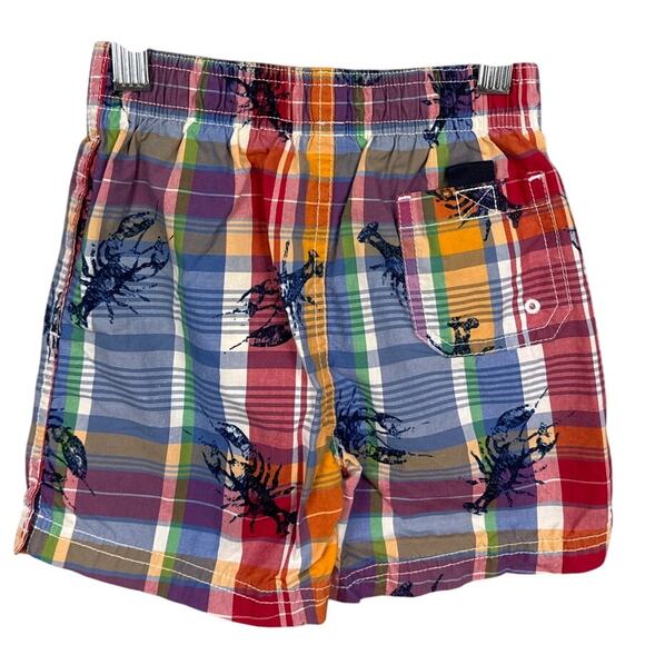 Polo By Ralph Lauren Infant Boys Plaid Shorts Lobster Print Size 18M Lined - Picture 2 of 6